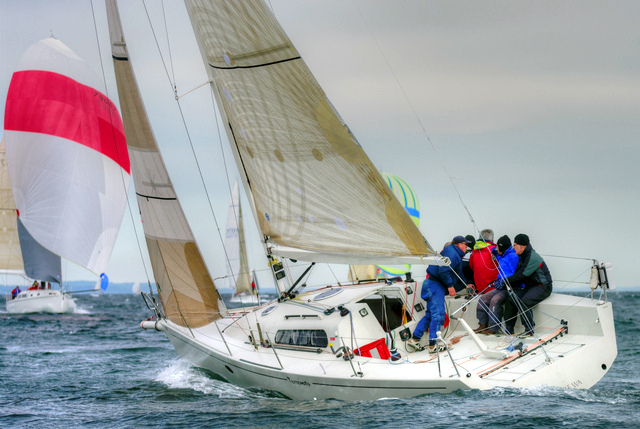 This is a picture of my father’s boat, Terremoto, rounding the mark and beating on a close haul upwind. The rest of the fleet, which is sailing downwind to the mark, has their spinnakers up.